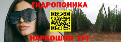 прущие грибы Камышлов