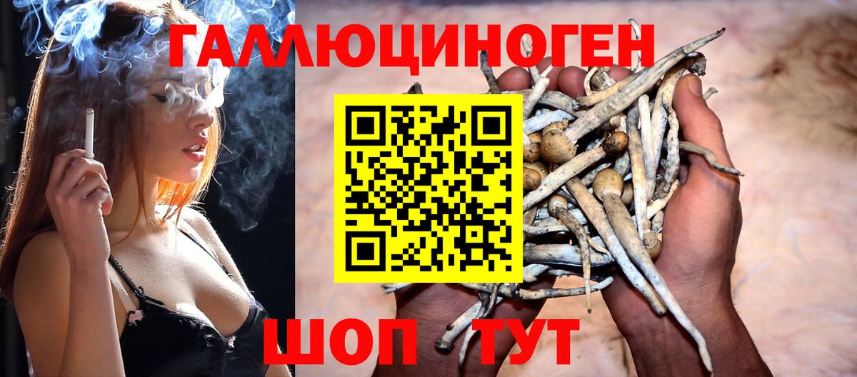 Галлюциногенные грибы MAGIC MUSHROOMS Лабытнанги